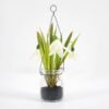 Artificial Flower 11*17CM Cymbidium in glass pot GS-62921026 Potted Flowers&Plants 3,000+ sqm showroom with thousands of artificial flowers, plants & trees ready for global sourcing.