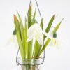 Artificial Flower 11*17CM Cymbidium in glass pot GS-62921026 Potted Flowers&Plants 3,000+ sqm showroom with thousands of artificial flowers, plants & trees ready for global sourcing.