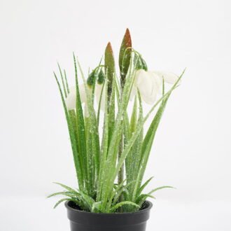 Artificial Flower 11*21CM Cymbidium in pe pot GS-62921044 Potted Flowers&Plants YeahFlower is one of Chinese leading OEM manufacturers and exporters , supplying the silk flowers, wholesale artificial trees