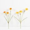 Artificial Flower 14*58CM Daffodil*3 GS-44321001 Single Flowers YeahFlower is one of Chinese leading OEM manufacturers and exporters , supplying the silk flowers, wholesale artificial trees