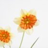 Artificial Flower 14*58CM Daffodil*3 GS-44321001 Single Flowers YeahFlower is one of Chinese leading OEM manufacturers and exporters , supplying the silk flowers, wholesale artificial trees