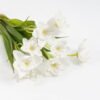 Artificial Flower 12*27CM Daffodil Bouquet*3 GS-62921059 Flowers Bush YeahFlower is one of Chinese leading OEM manufacturers and exporters , supplying the silk flowers, wholesale artificial trees