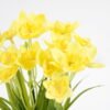 Artificial Flower 11*28CM Daffodil Bouquet*5 GS-62921061 Flowers Bush YeahFlower is one of Chinese leading OEM manufacturers and exporters , supplying the silk flowers, wholesale artificial trees