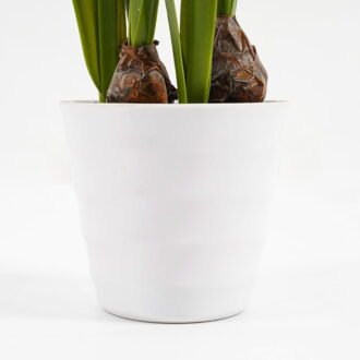 Artificial Flower 12*27CM Daffodil in pea pot GS-62921049 Potted Flowers&Plants YeahFlower is one of Chinese leading OEM manufacturers and exporters , supplying the silk flowers, wholesale artificial trees