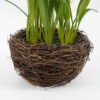 Artificial Flower 14*22CM Daffodil in rattan pot GS-62921032 Potted Flowers&Plants 3,000+ sqm showroom with thousands of artificial flowers, plants & trees ready for global sourcing.