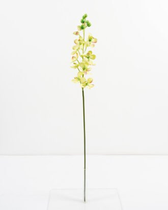 Artificial Flower 10*79CM Dainty orchid GS-44321003-G1 Single Flowers YeahFlower is one of Chinese leading OEM manufacturers and exporters , supplying the silk flowers, wholesale artificial trees Artificial Flower 10*79CM Dainty orchid GS-44321003-G1 Single Flowers YeahFlower is one of Chinese leading OEM manufacturers and exporters , supplying the silk flowers, wholesale artificial trees