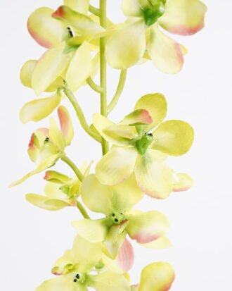 Artificial Flower 10*79CM Dainty orchid GS-44321003-G1 Single Flowers YeahFlower is one of Chinese leading OEM manufacturers and exporters , supplying the silk flowers, wholesale artificial trees Artificial Flower 10*79CM Dainty orchid GS-44321003-G1 Single Flowers YeahFlower is one of Chinese leading OEM manufacturers and exporters , supplying the silk flowers, wholesale artificial trees