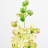 Artificial Flower 10*79CM Dainty orchid GS-44321003 Single Flowers YeahFlower is one of Chinese leading OEM manufacturers and exporters , supplying the silk flowers, wholesale artificial trees