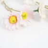 Artificial Flower Daisy spray 14 GS-60320004R-P1_5 Artificial Flower 18*72cm Daisy spray*14 GS-60320004R-P1 Single Flowers YeahFlower is one of Chinese leading OEM manufacturers and exporters , supplying the silk flowers, wholesale artificial trees