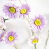 Artificial Flower Daisy spray 14 GS-60320004R-Z1_4 Artificial Flower 18*72cm Daisy spray*14 GS-60320004R-Z1 Single Flowers YeahFlower is one of Chinese leading OEM manufacturers and exporters , supplying the silk flowers, wholesale artificial trees