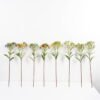 Artificial-Flower-Daisy-spray-GVC-21-2796-B2_5-1.jpg Artificial Flower 16*60CM Daisy spray GVC-21-2796-B2 Single Flowers YeahFlower is one of Chinese leading OEM manufacturers and exporters , supplying the silk flowers, wholesale artificial trees