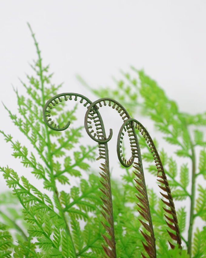 Artificial Flower 40*52cm Fern leaves*18 GS-62021037 Single Flowers YeahFlower is one of Chinese leading OEM manufacturers and exporters , supplying the silk flowers, wholesale artificial trees