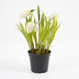 Artificial Flower 14*18CM Flower in pe pot GS-62921040 Potted Flowers&Plants YeahFlower is one of Chinese leading OEM manufacturers and exporters , supplying the silk flowers, wholesale artificial trees