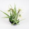 Artificial Flower 13*21CM Flower in pe pot GS-62921045 Potted Flowers&Plants YeahFlower is one of Chinese leading OEM manufacturers and exporters , supplying the silk flowers, wholesale artificial trees