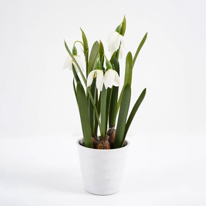 Artificial Flower 13*26CM Flower in pea pot GS-62921051 Potted Flowers&Plants YeahFlower is one of Chinese leading OEM manufacturers and exporters , supplying the silk flowers, wholesale artificial trees