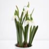 Artificial Flower 13*26CM Flower in pea pot GS-62921051 Potted Flowers&Plants YeahFlower is one of Chinese leading OEM manufacturers and exporters , supplying the silk flowers, wholesale artificial trees