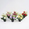 Artificial Flower 16*15*24CM Flowers in pp pot GS-05521014-P1 Potted Flowers&Plants YeahFlower is one of Chinese leading OEM manufacturers and exporters , supplying the silk flowers, wholesale artificial trees