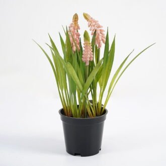Artificial Flower 16*21CM Hyacinths in pe pot GS-62921041 Potted Flowers&Plants YeahFlower is one of Chinese leading OEM manufacturers and exporters , supplying the silk flowers, wholesale artificial trees