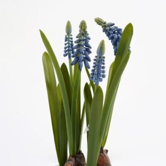 Artificial Flower 14*26CM Hyacinths in pea pot GS-62921047 Potted Flowers&Plants YeahFlower is one of Chinese leading OEM manufacturers and exporters , supplying the silk flowers, wholesale artificial trees
