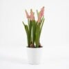 Artificial Flower Hyacinths in pea pot GS-62921047_4 Artificial Flower 14*26CM Hyacinths in pea pot GS-62921047 Potted Flowers&Plants YeahFlower is one of Chinese leading OEM manufacturers and exporters , supplying the silk flowers, wholesale artificial trees