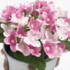 Artificial Flower Hydrangea in metal pot GS-63421003_4 Artificial Flower 15*15*18CM Hydrangea in metal pot GS-63421003 Potted Flowers&Plants YeahFlower is one of Chinese leading OEM manufacturers and exporters , supplying the silk flowers, wholesale artificial trees