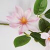 Artificial Flower Kapok spray GS-39121009_4 Artificial Flower 17*45CM Kapok spray GS-39121009 Single Flowers YeahFlower is one of Chinese leading OEM manufacturers and exporters , supplying the silk flowers, wholesale artificial trees