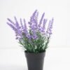 Artificial Flower 22*22*27cm Lavender in PP pot GS-03321095-Z1 Potted Flowers&Plants YeahFlower is one of Chinese leading OEM manufacturers and exporters , supplying the silk flowers, wholesale artificial trees