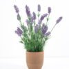 Artificial Flower 26*26*47cm Lavender in Paper pot GS-03321127 Potted Flowers&Plants 3,000+ sqm showroom with thousands of artificial flowers, plants & trees ready for global sourcing.