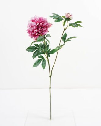 Artificial Flower 28*69CM Peony spray*2 GS-44321014-P1 Single Flowers YeahFlower is one of Chinese leading OEM manufacturers and exporters , supplying the silk flowers, wholesale artificial trees Artificial Flower 28*69CM Peony spray*2 GS-44321014-P1 Single Flowers YeahFlower is one of Chinese leading OEM manufacturers and exporters , supplying the silk flowers, wholesale artificial trees