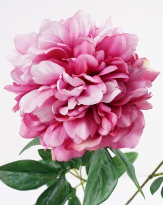 Artificial Flower 28*69CM Peony spray*2 GS-44321014-P1 Single Flowers YeahFlower is one of Chinese leading OEM manufacturers and exporters , supplying the silk flowers, wholesale artificial trees Artificial Flower 28*69CM Peony spray*2 GS-44321014-P1 Single Flowers YeahFlower is one of Chinese leading OEM manufacturers and exporters , supplying the silk flowers, wholesale artificial trees
