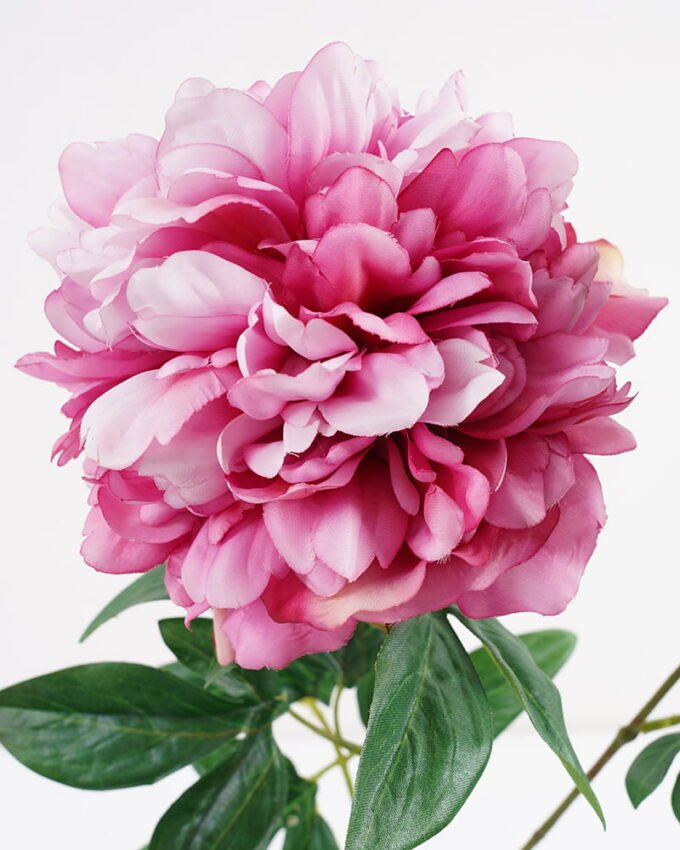 Artificial-Flower-Peony-spray-2-GS-44321014-P1_5-1.jpg Artificial Flower 28*69CM Peony spray*2 GS-44321014-P1 Single Flowers YeahFlower is one of Chinese leading OEM manufacturers and exporters , supplying the silk flowers, wholesale artificial trees