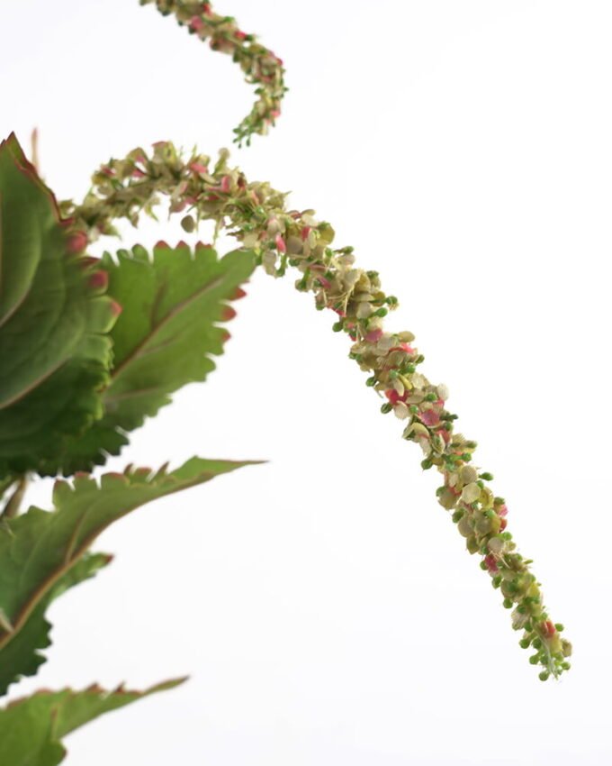 Artificial Flower Perilla Leaf GS-41621002-G1_5 Artificial Flower 25*89CM Perilla Leaf GS-41621002-G1 Single Flowers YeahFlower is one of Chinese leading OEM manufacturers and exporters , supplying the silk flowers, wholesale artificial trees