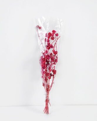 Artificial Flower 16*55CM Physalis peruviana,50g/bag, H:50-55cm/pc GS-56620101JJA-R1 Single Flowers YeahFlower is one of Chinese leading OEM manufacturers and exporters , supplying the silk flowers, wholesale artificial trees Artificial Flower 16*55CM Physalis peruviana,50g/bag, H:50-55cm/pc GS-56620101JJA-R1 Single Flowers YeahFlower is one of Chinese leading OEM manufacturers and exporters , supplying the silk flowers, wholesale artificial trees