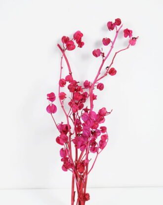 Artificial Flower 16*55CM Physalis peruviana,50g/bag, H:50-55cm/pc GS-56620101JJA-R1 Single Flowers YeahFlower is one of Chinese leading OEM manufacturers and exporters , supplying the silk flowers, wholesale artificial trees Artificial Flower 16*55CM Physalis peruviana,50g/bag, H:50-55cm/pc GS-56620101JJA-R1 Single Flowers YeahFlower is one of Chinese leading OEM manufacturers and exporters , supplying the silk flowers, wholesale artificial trees