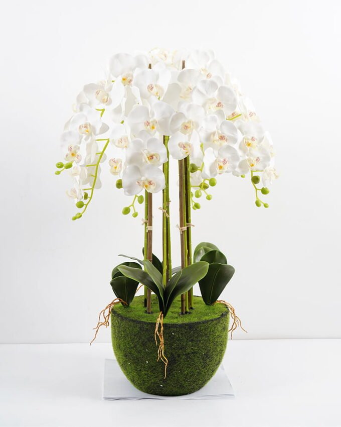 Artificial Flower 47*47*80CM Potted ochird GS-63021001 Potted Flowers&Plants YeahFlower is one of Chinese leading OEM manufacturers and exporters , supplying the silk flowers, wholesale artificial trees