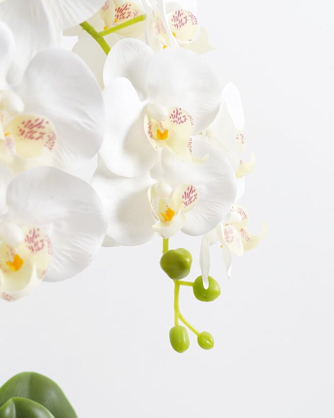 Artificial Flower 47*47*80CM Potted ochird GS-63021001 Potted Flowers&Plants YeahFlower is one of Chinese leading OEM manufacturers and exporters , supplying the silk flowers, wholesale artificial trees