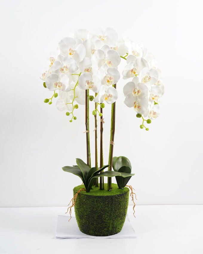 Artificial Flower 47*38*79CM Potted ochird GS-63021002 Potted Flowers&Plants YeahFlower is one of Chinese leading OEM manufacturers and exporters , supplying the silk flowers, wholesale artificial trees