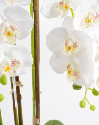 Artificial Flower 47*38*79CM Potted ochird GS-63021002 Potted Flowers&Plants YeahFlower is one of Chinese leading OEM manufacturers and exporters , supplying the silk flowers, wholesale artificial trees