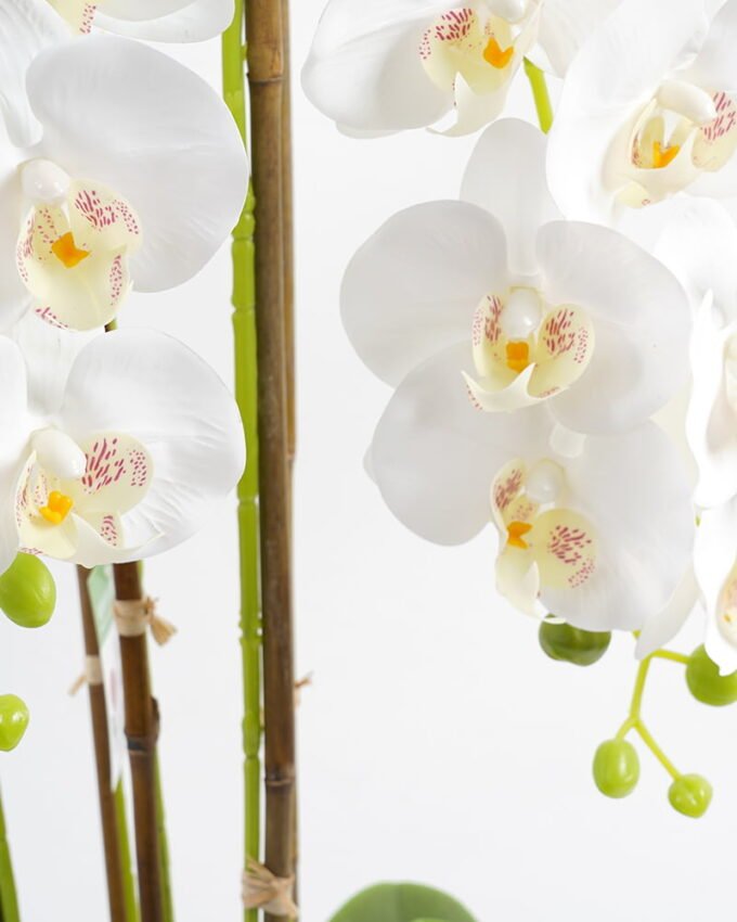 Artificial Flower 47*38*79CM Potted ochird GS-63021002 Potted Flowers&Plants YeahFlower is one of Chinese leading OEM manufacturers and exporters , supplying the silk flowers, wholesale artificial trees