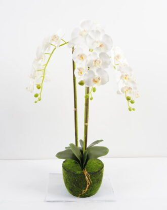 Artificial Flower 47*26*75CM Potted ochird GS-63021003 Potted Flowers&Plants YeahFlower is one of Chinese leading OEM manufacturers and exporters , supplying the silk flowers, wholesale artificial trees