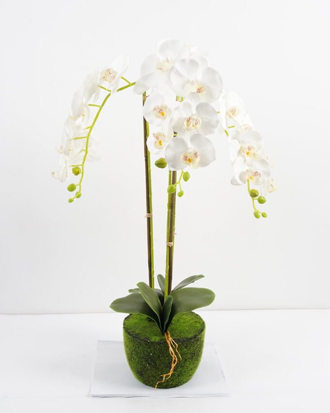 Artificial Flower 47*26*75CM Potted ochird GS-63021003 Potted Flowers&Plants YeahFlower is one of Chinese leading OEM manufacturers and exporters , supplying the silk flowers, wholesale artificial trees