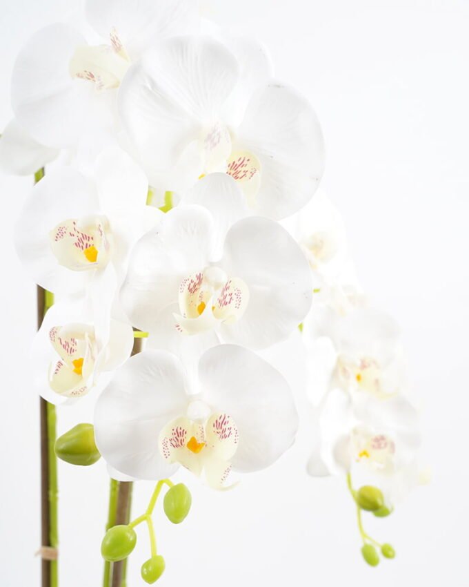 Artificial Flower 47*26*75CM Potted ochird GS-63021003 Potted Flowers&Plants YeahFlower is one of Chinese leading OEM manufacturers and exporters , supplying the silk flowers, wholesale artificial trees