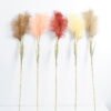 Artificial Flower 21*110CM Reed GS-27921005 Single Flowers YeahFlower is one of Chinese leading OEM manufacturers and exporters , supplying the silk flowers, wholesale artificial trees
