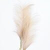 Artificial Flower 21*110CM Reed GS-27921005 Single Flowers YeahFlower is one of Chinese leading OEM manufacturers and exporters , supplying the silk flowers, wholesale artificial trees