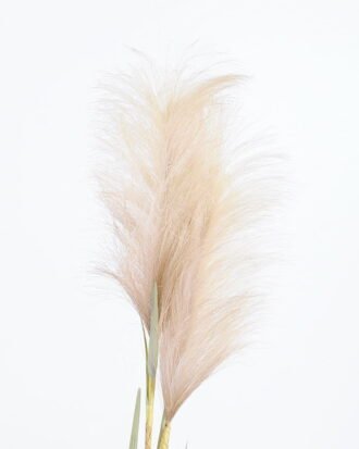 Artificial Flower 21*110CM Reed GS-27921005 Single Flowers YeahFlower is one of Chinese leading OEM manufacturers and exporters , supplying the silk flowers, wholesale artificial trees Artificial Flower 21*110CM Reed GS-27921005 Single Flowers YeahFlower is one of Chinese leading OEM manufacturers and exporters , supplying the silk flowers, wholesale artificial trees