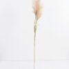 Artificial Flower 21*110CM Reed GS-27921005 Single Flowers YeahFlower is one of Chinese leading OEM manufacturers and exporters , supplying the silk flowers, wholesale artificial trees