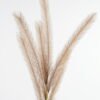 Artificial-Flower-Reed-GS-27921007_6-1.jpg Artificial Flower 11*124CM Reed GS-27921007 Single Flowers YeahFlower is one of Chinese leading OEM manufacturers and exporters , supplying the silk flowers, wholesale artificial trees