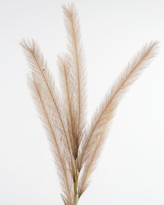 Artificial Flower 11*124CM Reed GS-27921007 Single Flowers YeahFlower is one of Chinese leading OEM manufacturers and exporters , supplying the silk flowers, wholesale artificial trees Artificial Flower 11*124CM Reed GS-27921007 Single Flowers YeahFlower is one of Chinese leading OEM manufacturers and exporters , supplying the silk flowers, wholesale artificial trees