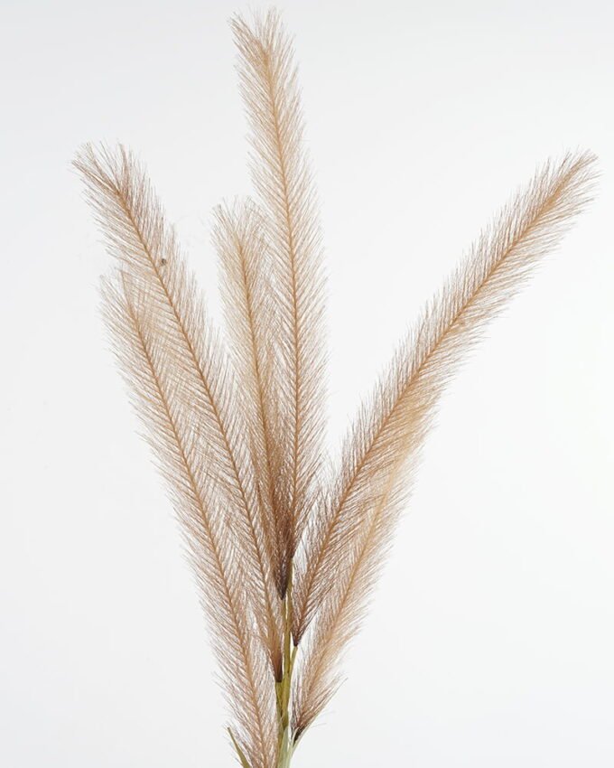 Artificial-Flower-Reed-GS-27921007_6-1.jpg Artificial Flower 11*124CM Reed GS-27921007 Single Flowers YeahFlower is one of Chinese leading OEM manufacturers and exporters , supplying the silk flowers, wholesale artificial trees
