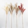 Artificial-Flower-Reed-GS-27921009_1-1.jpg Artificial Flower 21*119CM Reed GS-27921009 Single Flowers YeahFlower is one of Chinese leading OEM manufacturers and exporters , supplying the silk flowers, wholesale artificial trees